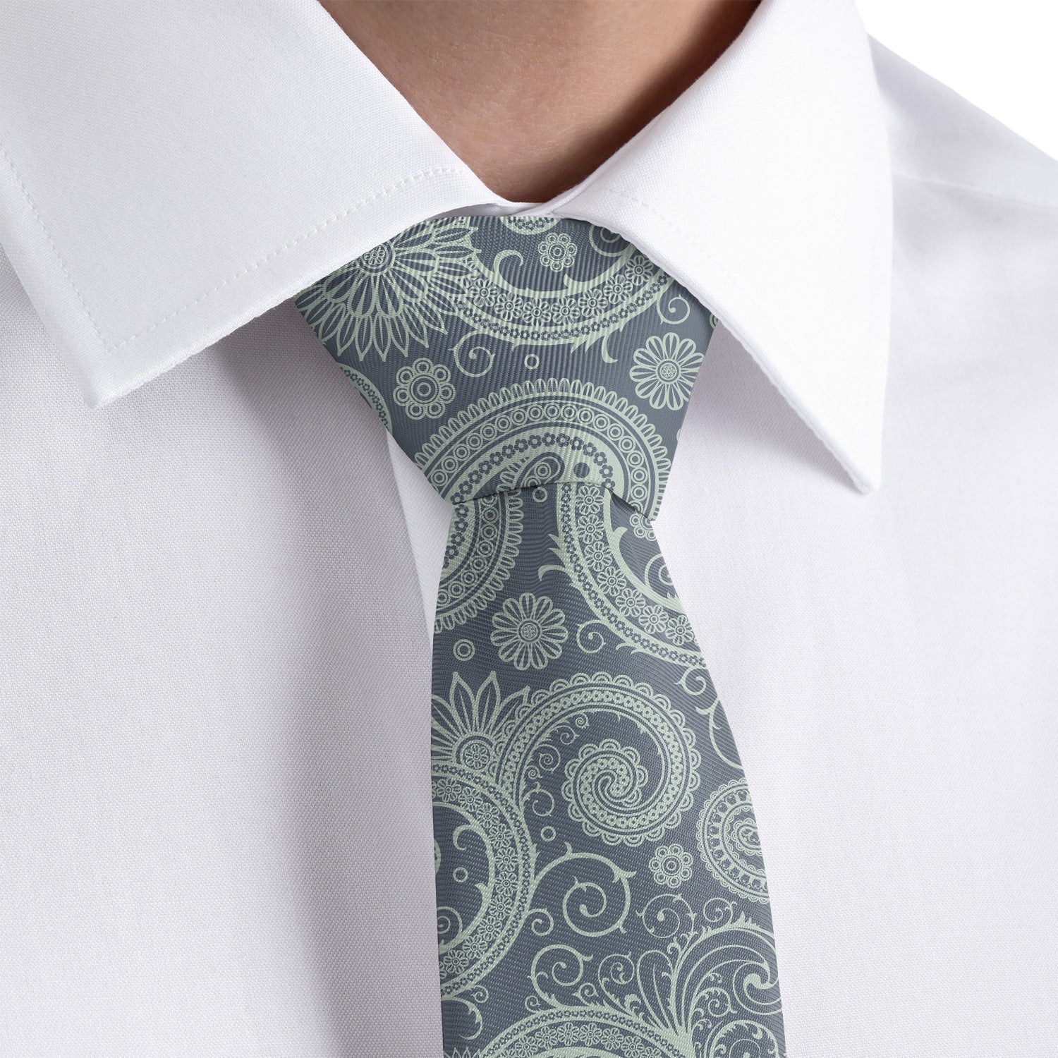 Carleton Paisley Necktie - Dress Shirt - Knotty Tie Co.